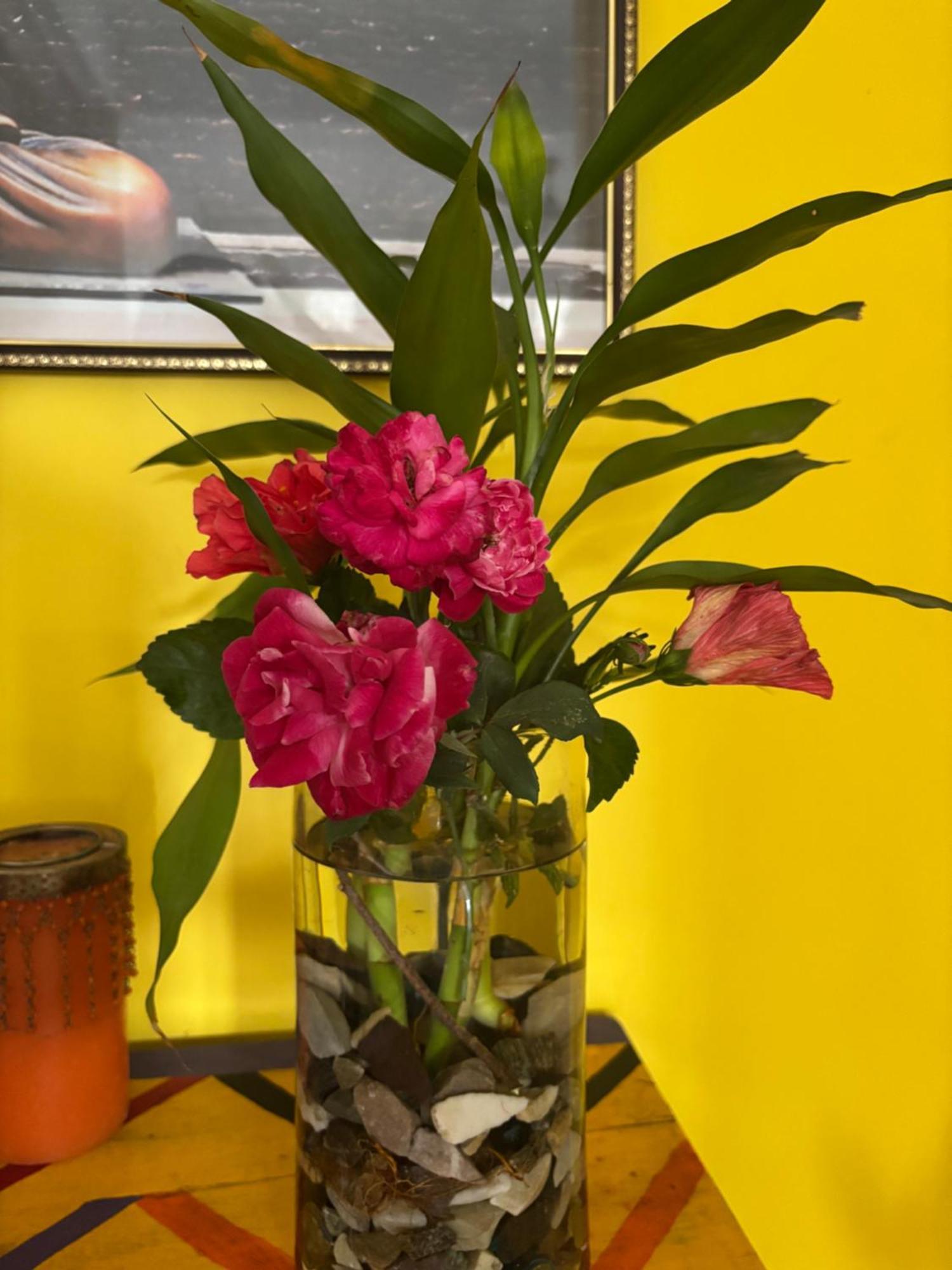 California Nest Homestay Tezpur